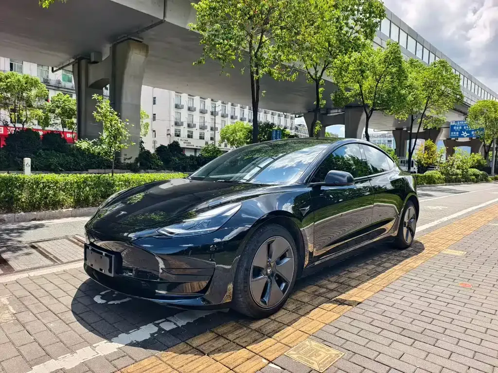 Tesla Model 3 2021 из CN, фото 8