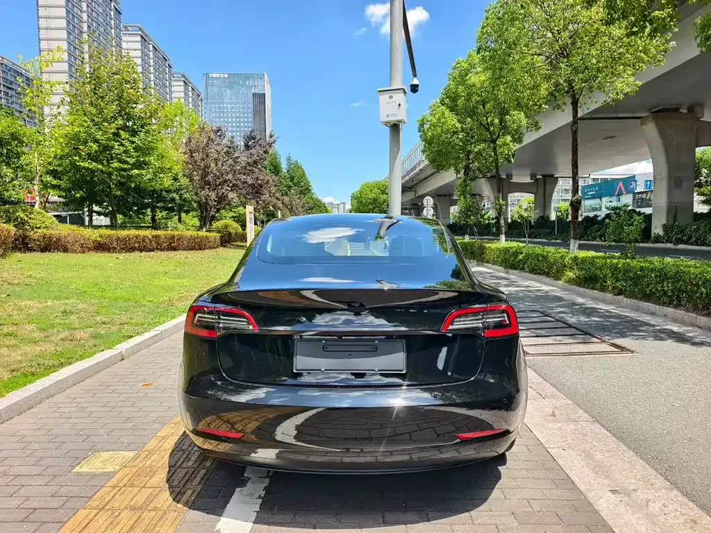 Tesla Model 3 2021 из CN, фото 6