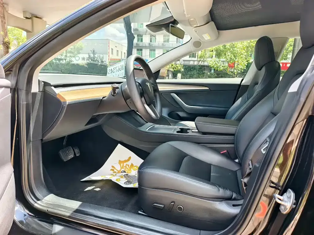 Tesla Model 3 2021 из CN, фото 3