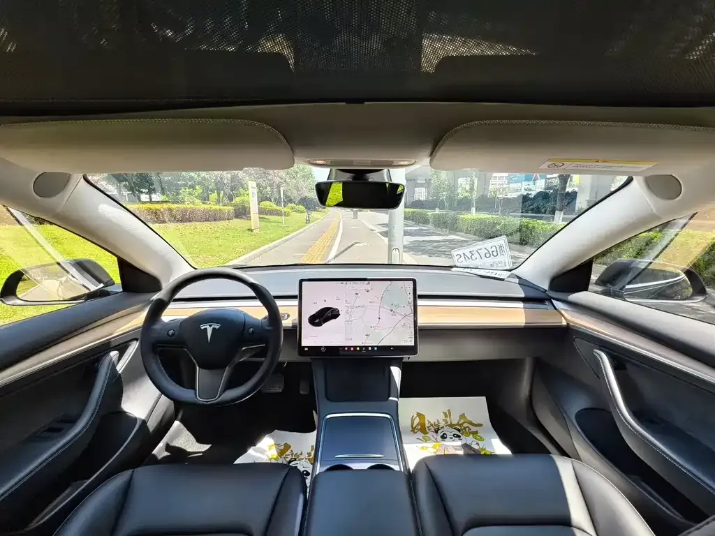 Tesla Model 3 2021 из CN, фото 2