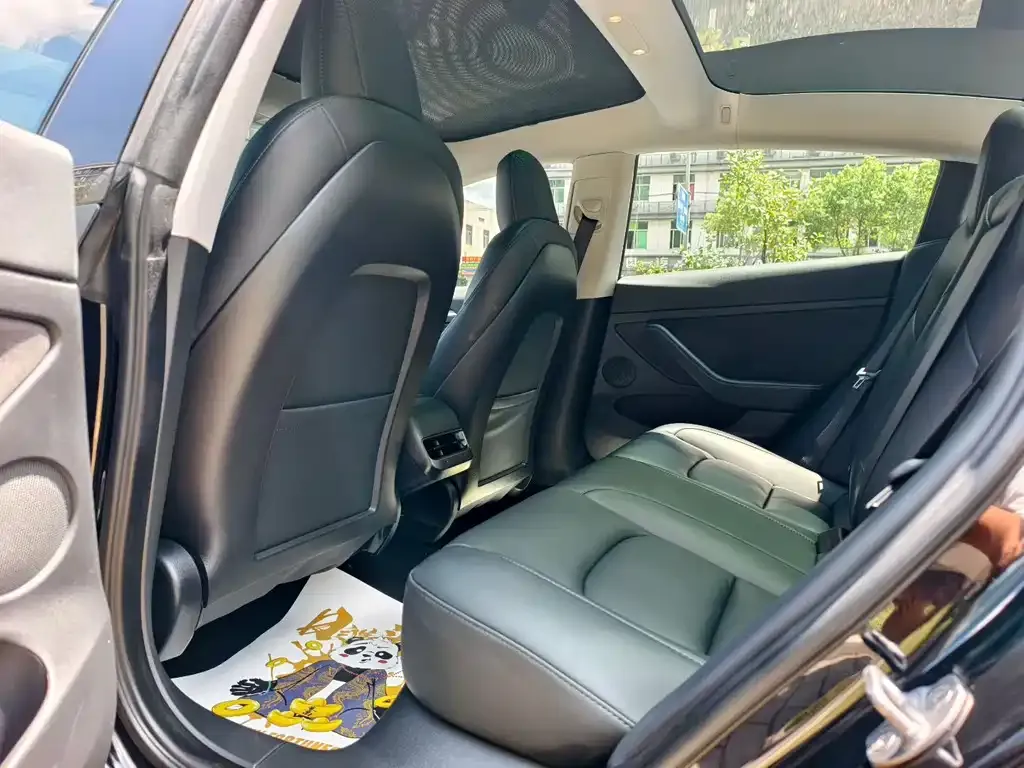 Tesla Model 3 2021 из CN, фото 5