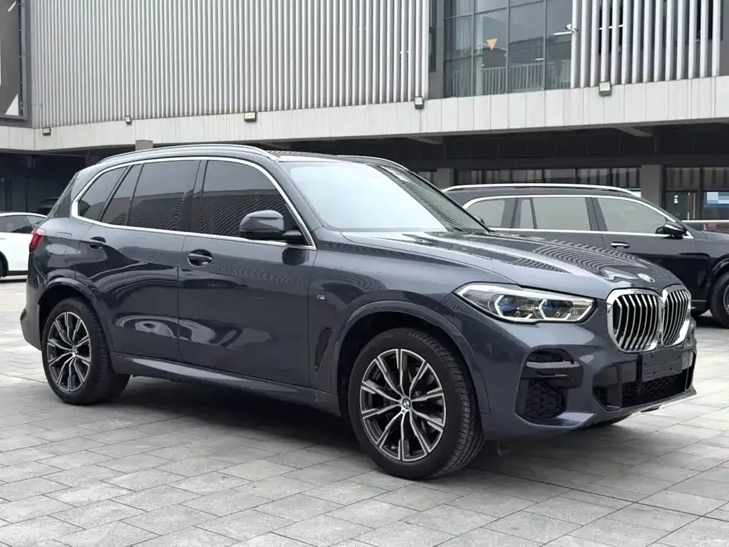 BMW X5 (Import) 2022 из CN, фото 4