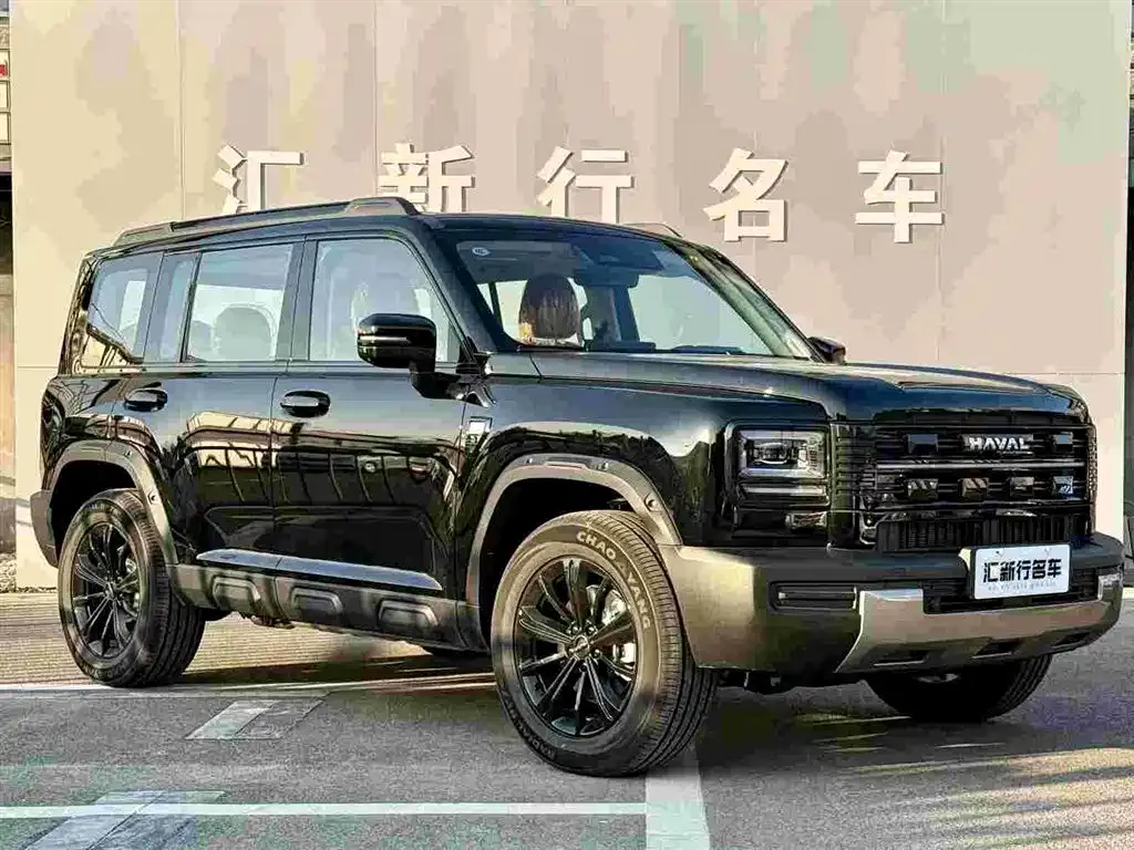 Haval Menglong New Energy — фото 5