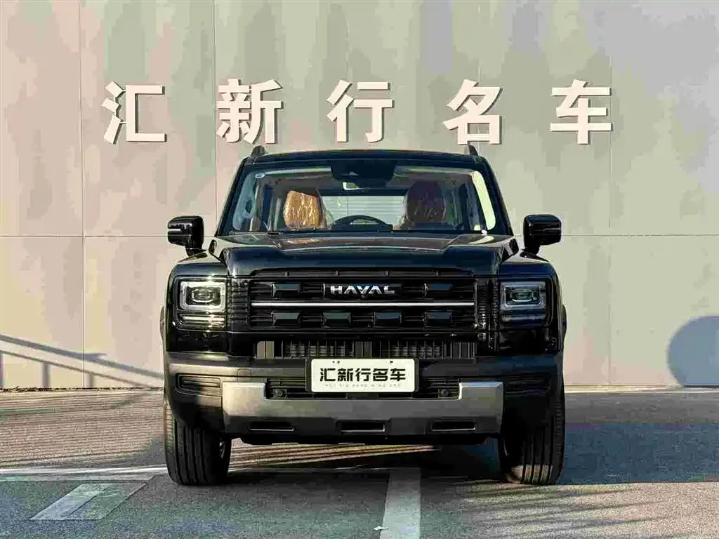Haval Menglong New Energy — фото 10
