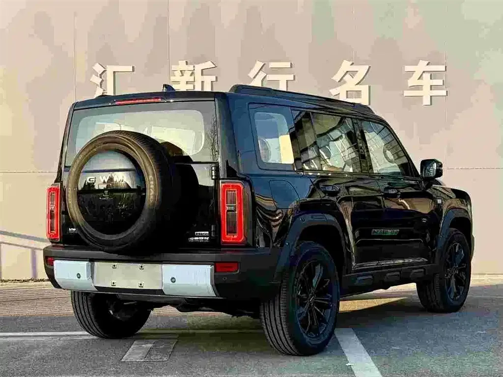 Haval Menglong New Energy — фото 2