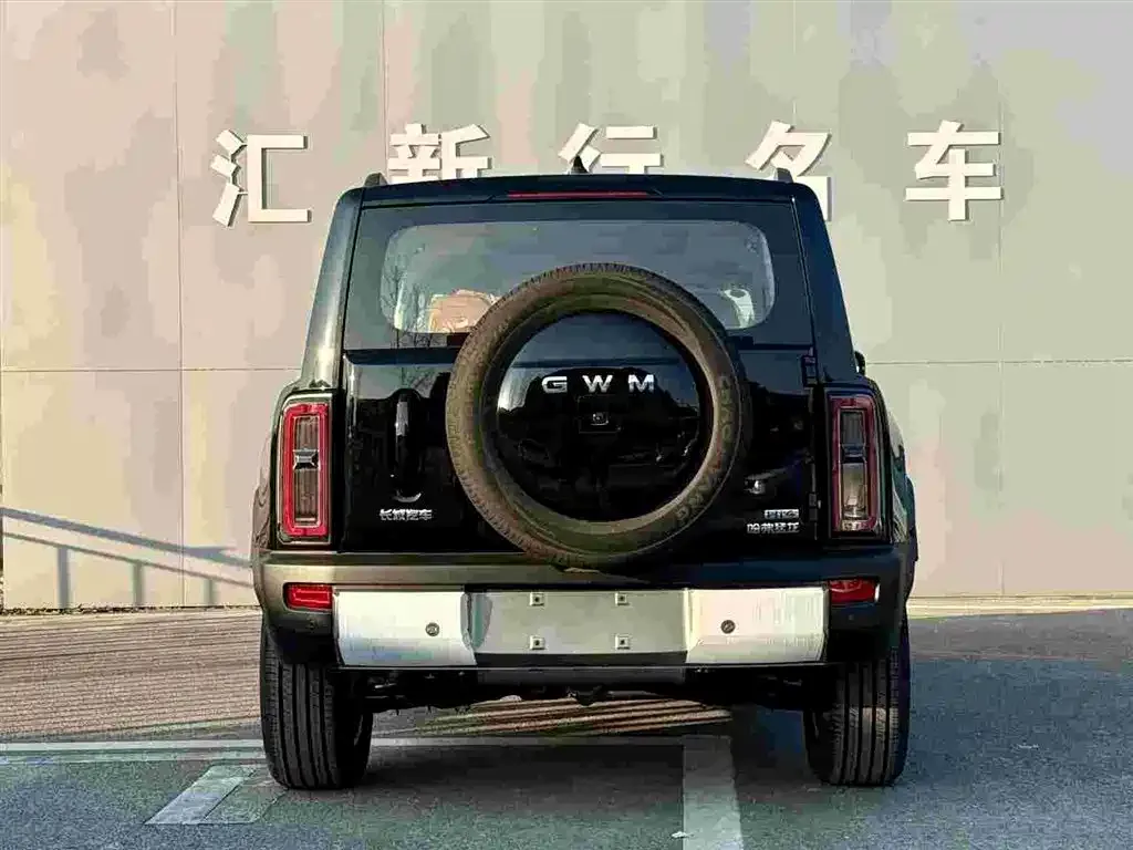 Haval Menglong New Energy — фото 4