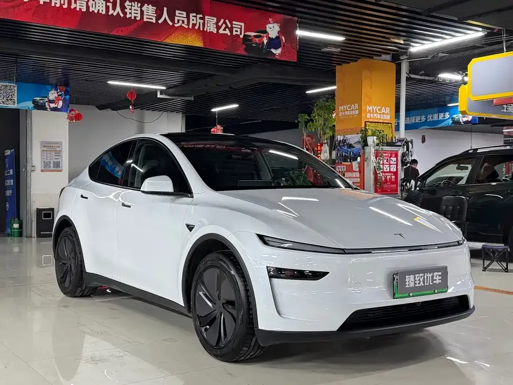 Tesla Model Y 2025 из CN, фото 9