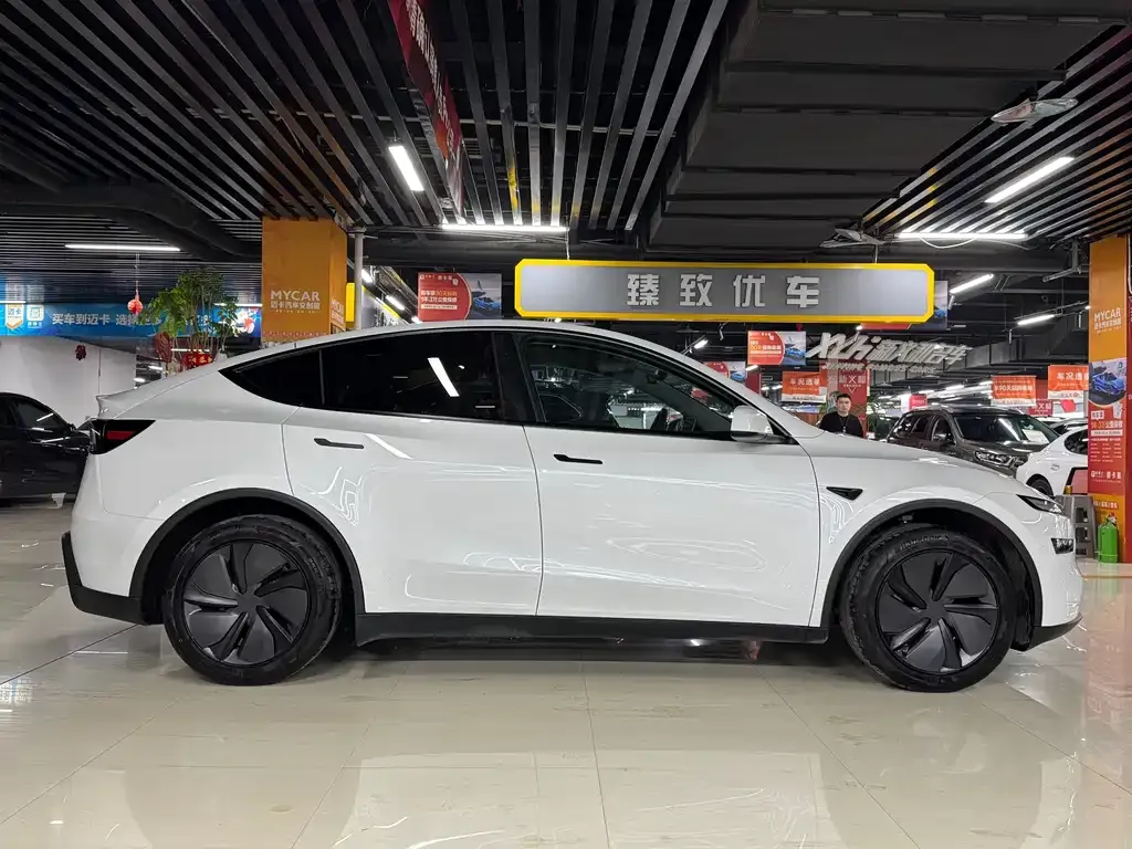 Tesla Model Y 2025 из CN, фото 3