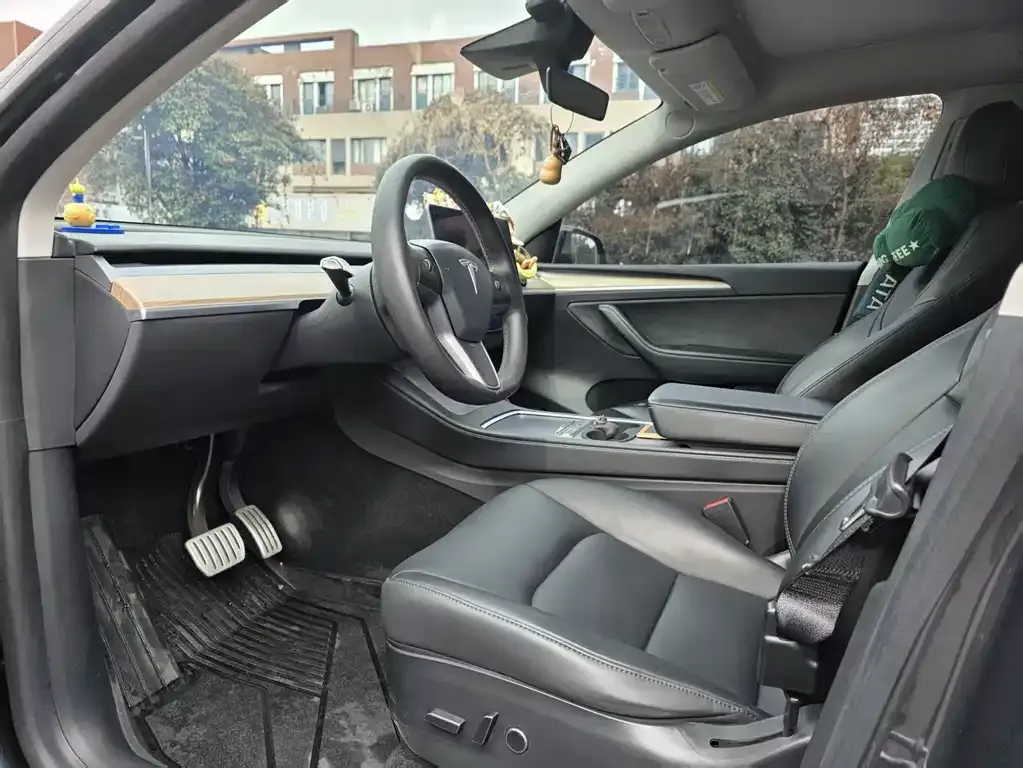 Tesla Model Y — фото 2