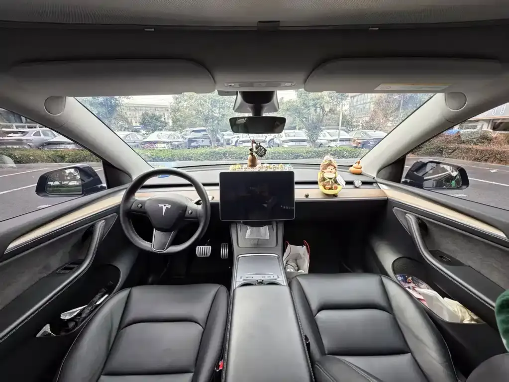 Tesla Model Y — фото 3