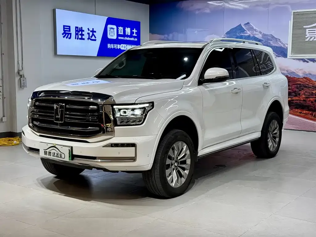 Tank 500 New Energy 2024 из CN, фото 1