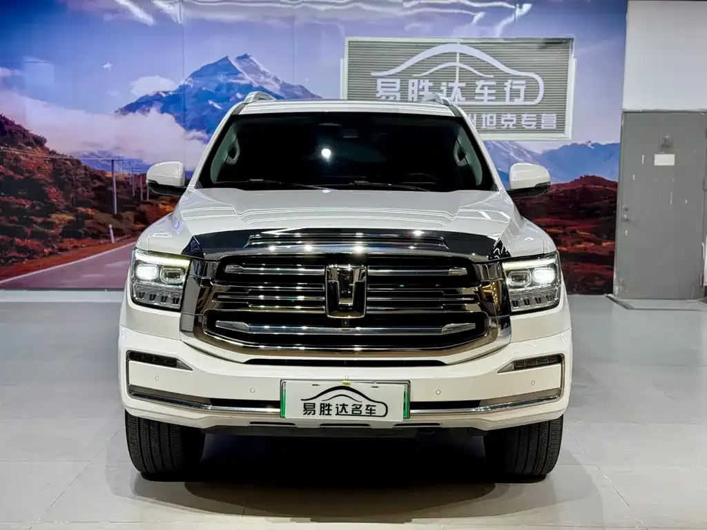 Tank 500 New Energy 2024 из CN, фото 6