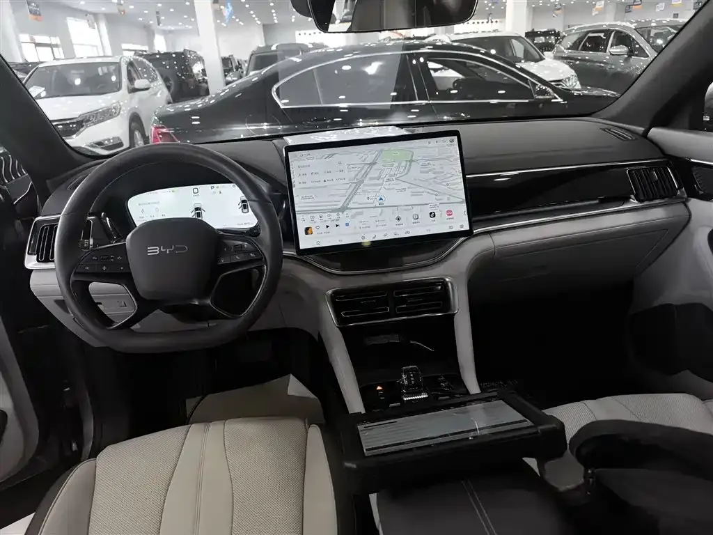 BYD PLUS New Energy — фото 8