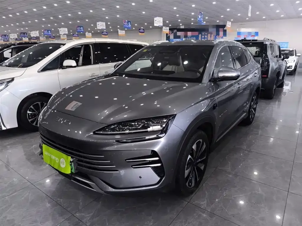 BYD PLUS New Energy — фото 10