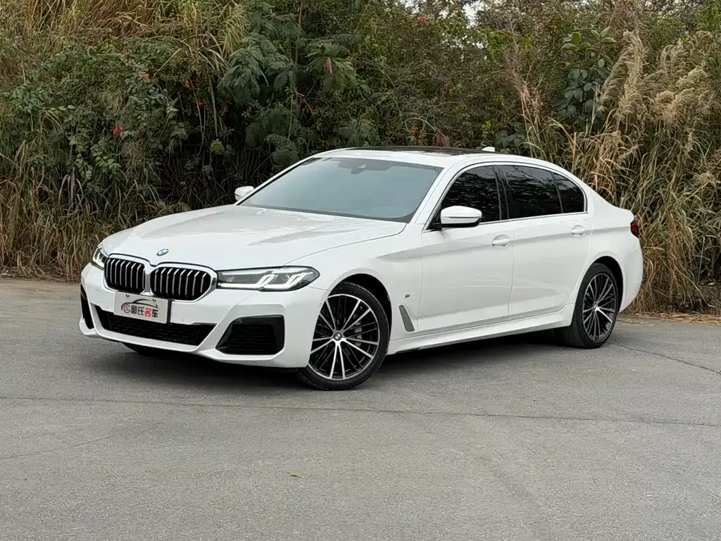 BMW 5 Series 2023 из CN, фото 1