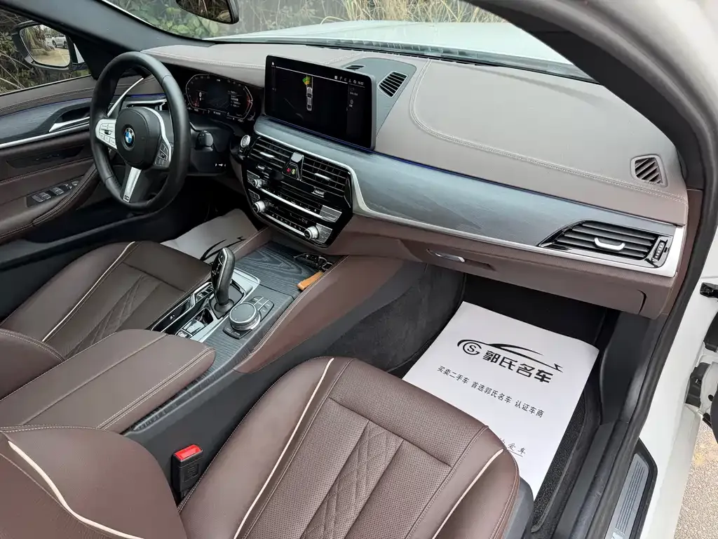 BMW 5 Series 2023 из CN, фото 7