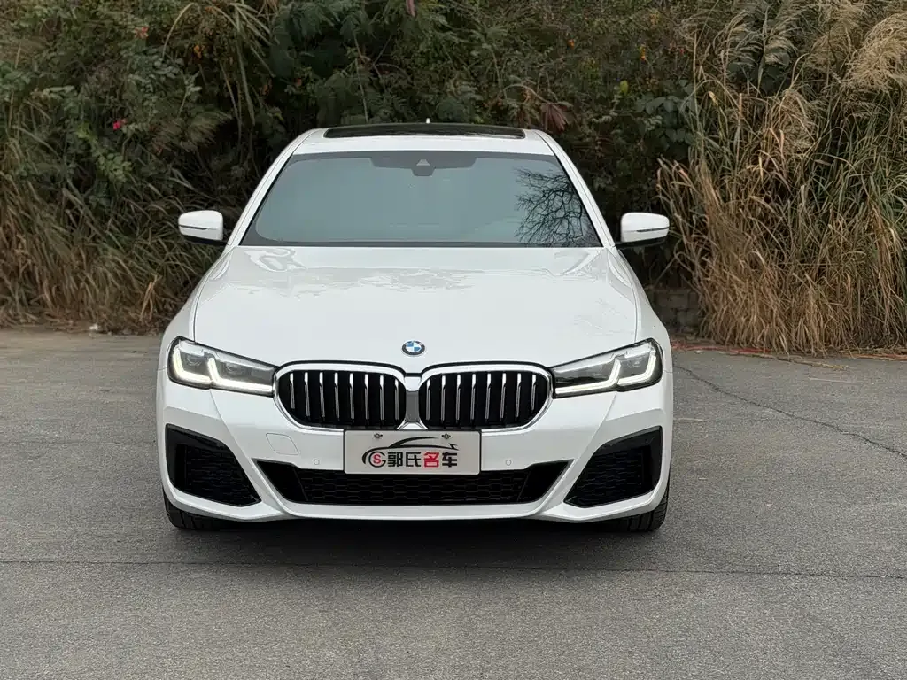 BMW 5 Series 2023 из CN, фото 5