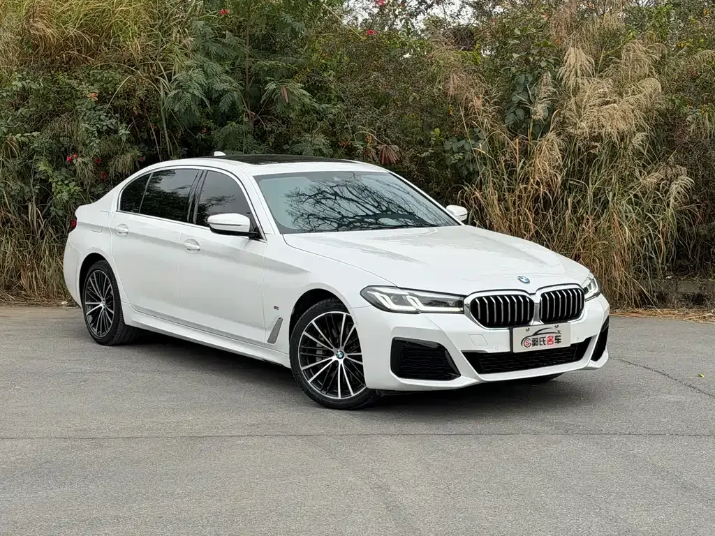 BMW 5 Series 2023 из CN, фото 6