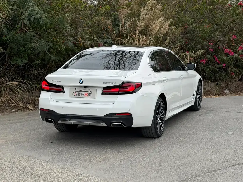 BMW 5 Series 2023 из CN, фото 10