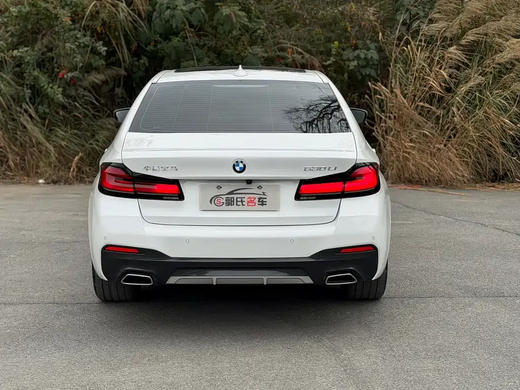 BMW 5 Series 2023 из CN, фото 8