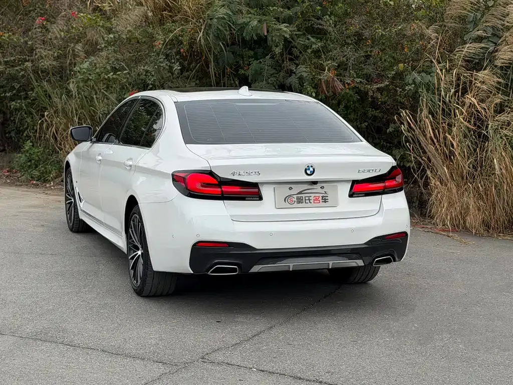 BMW 5 Series 2023 из CN, фото 9