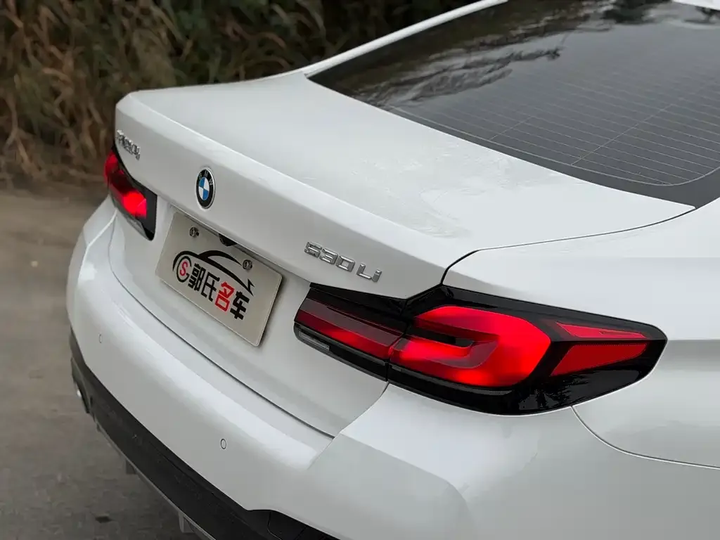 BMW 5 Series 2023 из CN, фото 2
