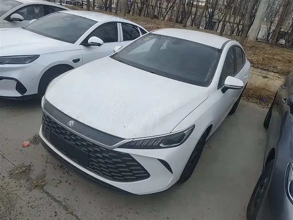BYD Qin PLUS — фото 1