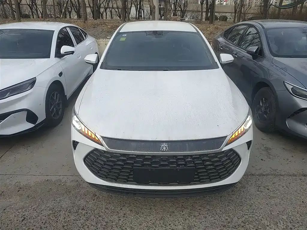 BYD Qin PLUS — фото 4