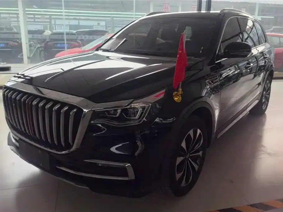 Hongqi HS7 2023 из CN, фото 1
