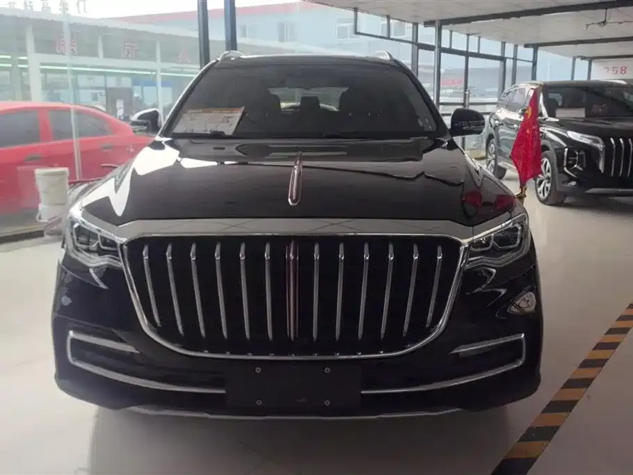 Hongqi HS7 2023 из CN, фото 2