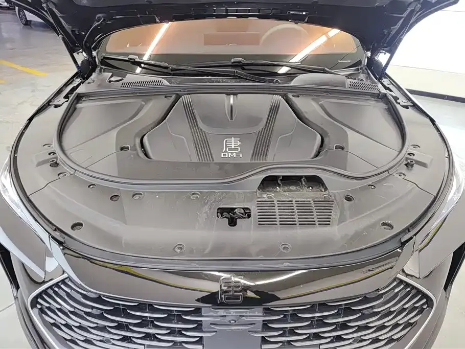 BYD Tang New Energy 2024 из CN, фото 6