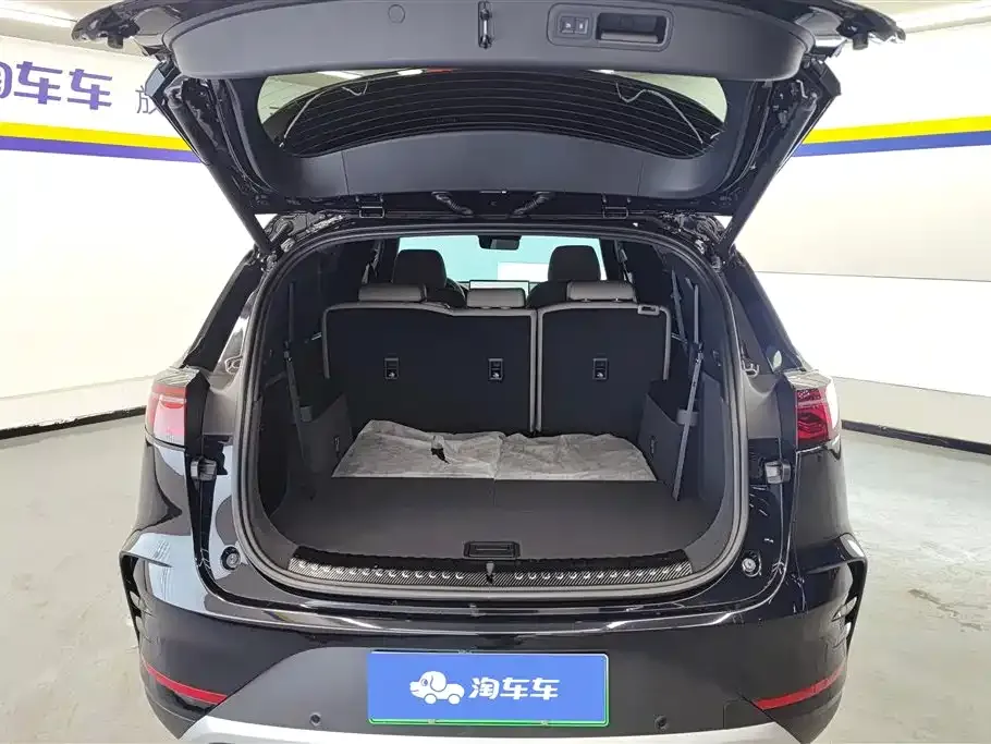 BYD Tang New Energy 2024 из CN, фото 5