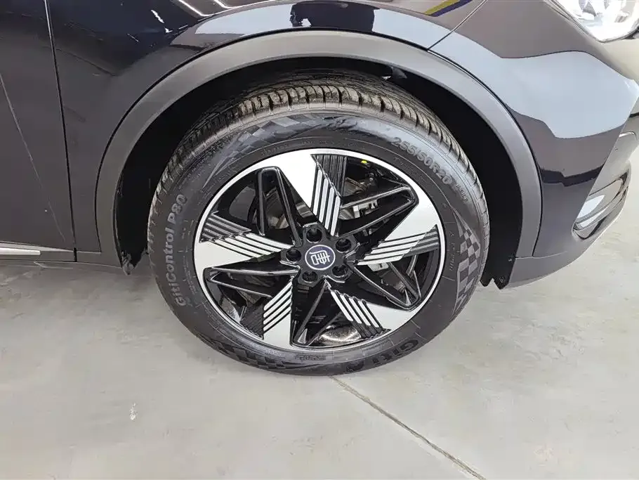 BYD Tang New Energy 2024 из CN, фото 10