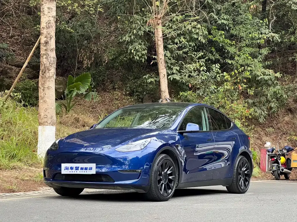 Tesla Model Y 2021 из CN, фото 1
