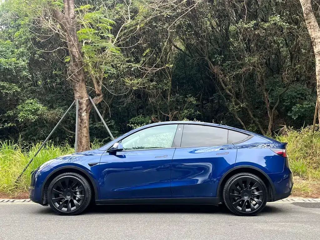 Tesla Model Y 2021 из CN, фото 2