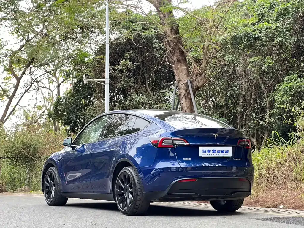 Tesla Model Y 2021 из CN, фото 7