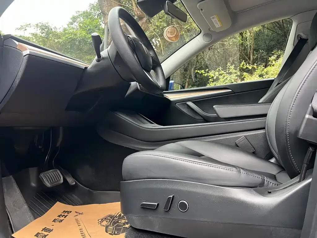 Tesla Model Y 2021 из CN, фото 3