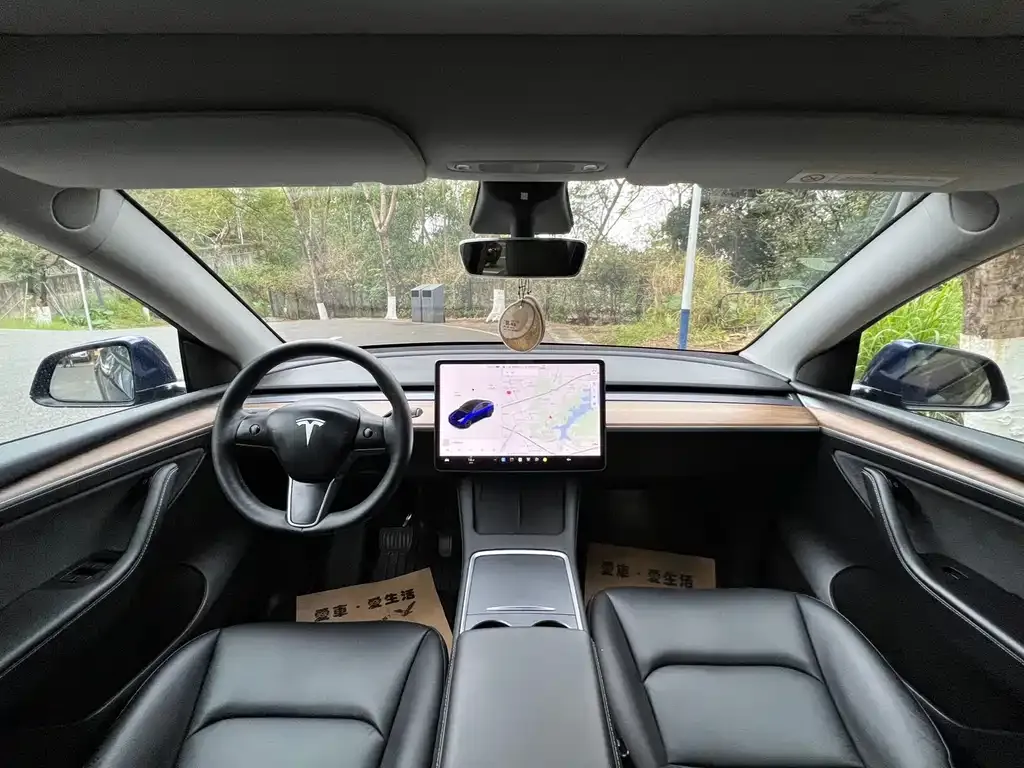 Tesla Model Y 2021 из CN, фото 4