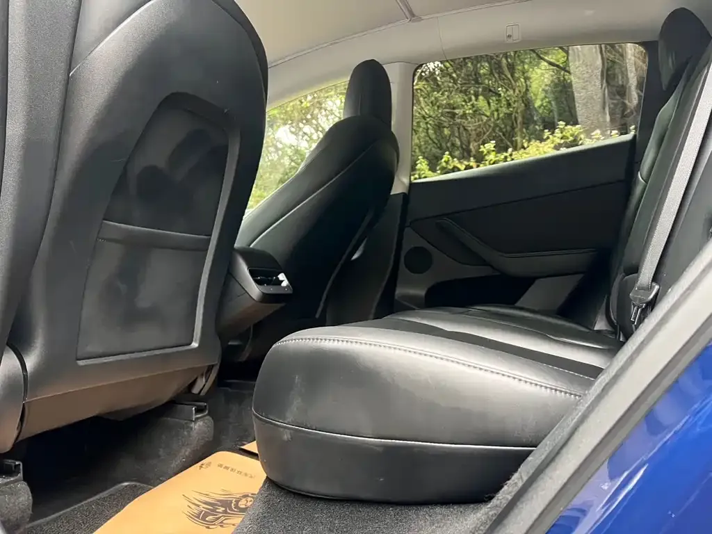 Tesla Model Y 2021 из CN, фото 5