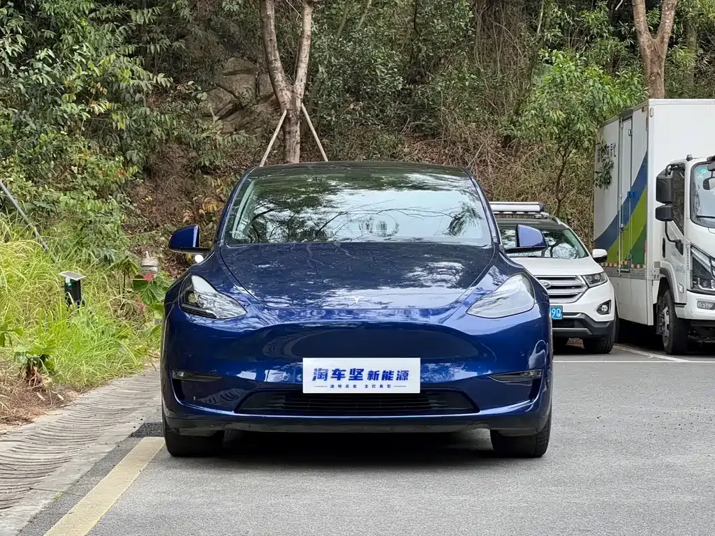 Tesla Model Y 2021 из CN, фото 6