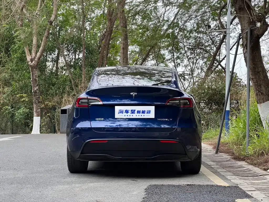 Tesla Model Y 2021 из CN, фото 10
