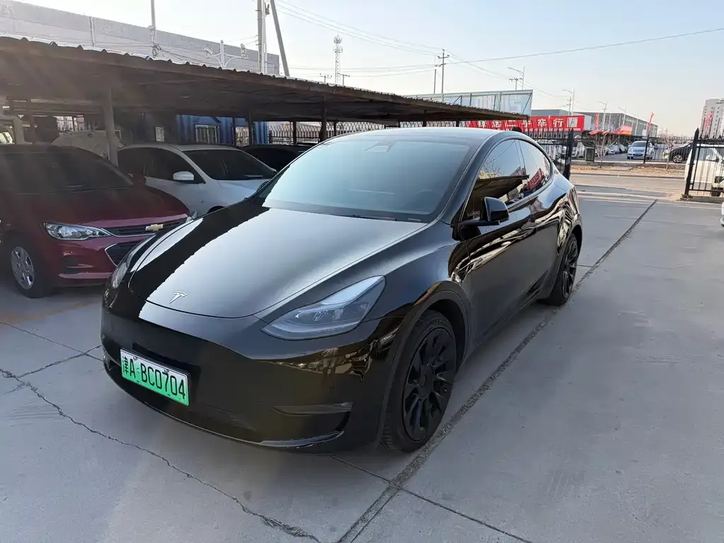 Tesla Model Y 2022 из CN, фото 1