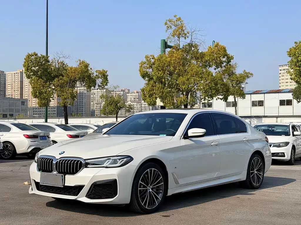 BMW 5 Series 2022 из CN, фото 1
