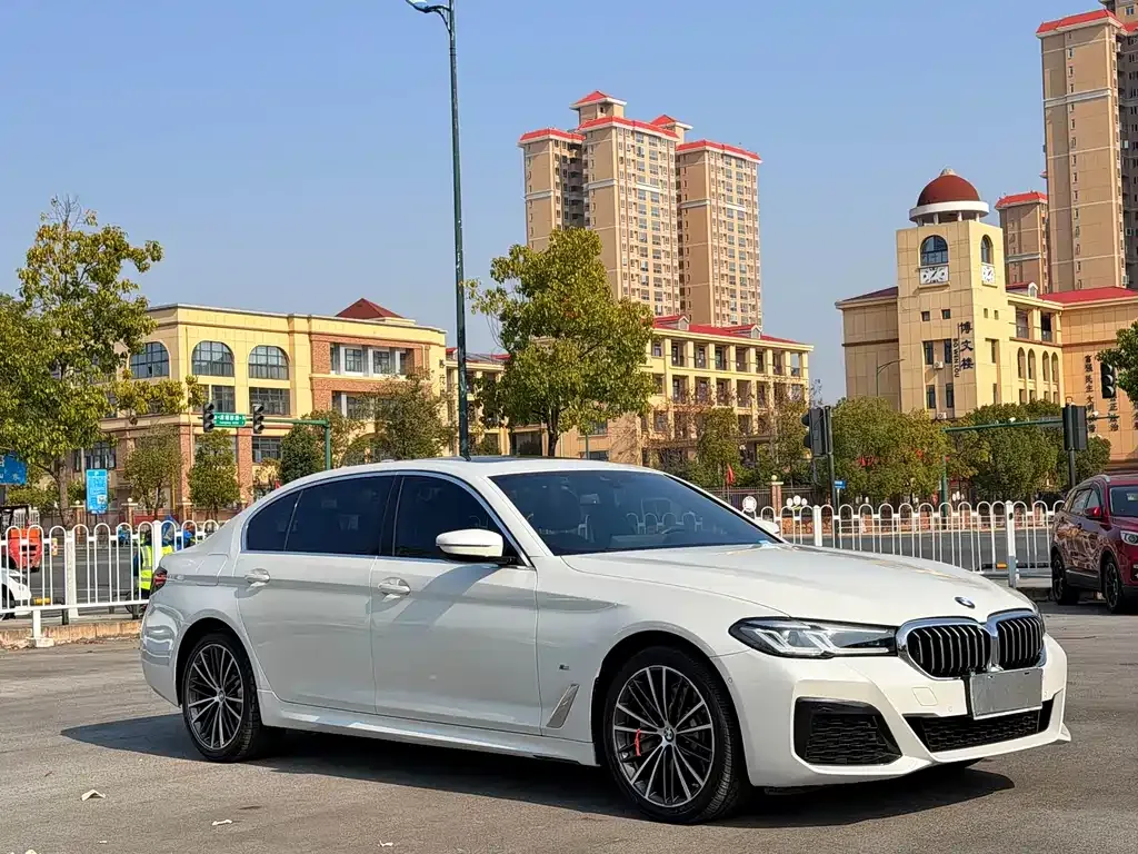 BMW 5 Series 2022 из CN, фото 3