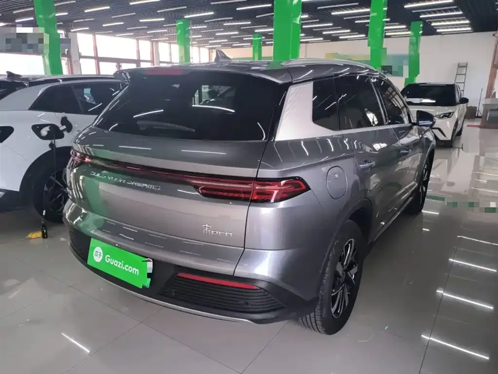 BYD Pro New Energy — фото 4