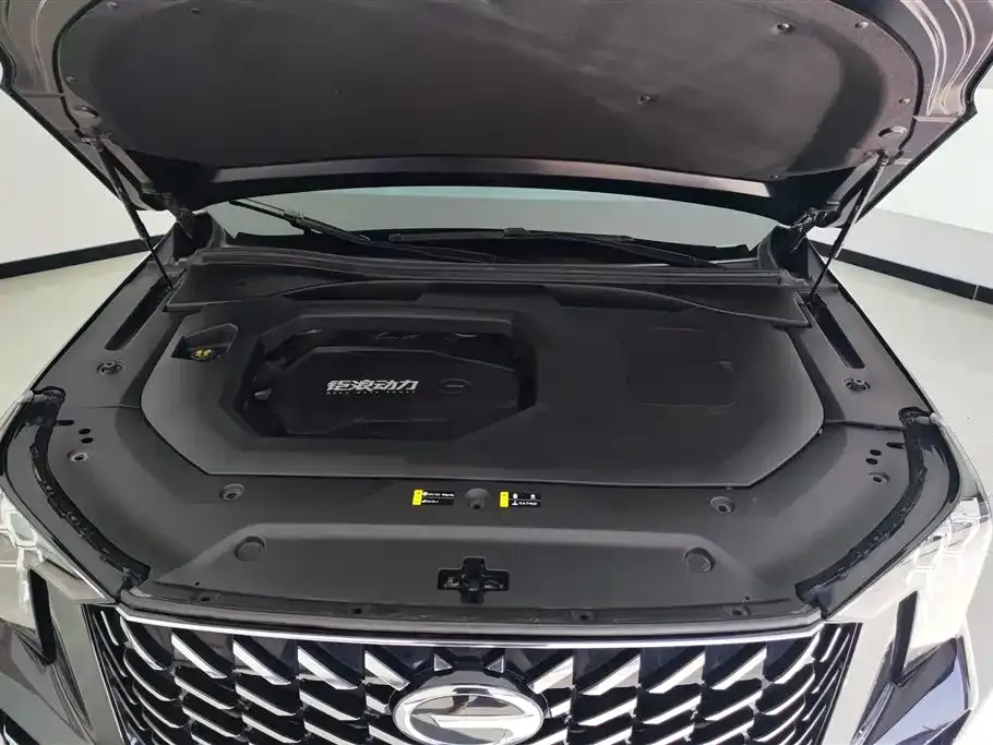 GAC Motor Trumpchi GS8 — фото 2