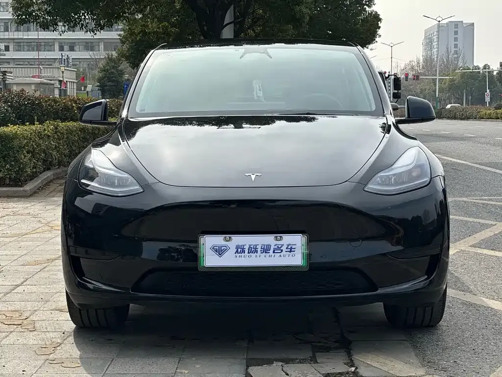 Tesla Model Y 2024 из CN, фото 6