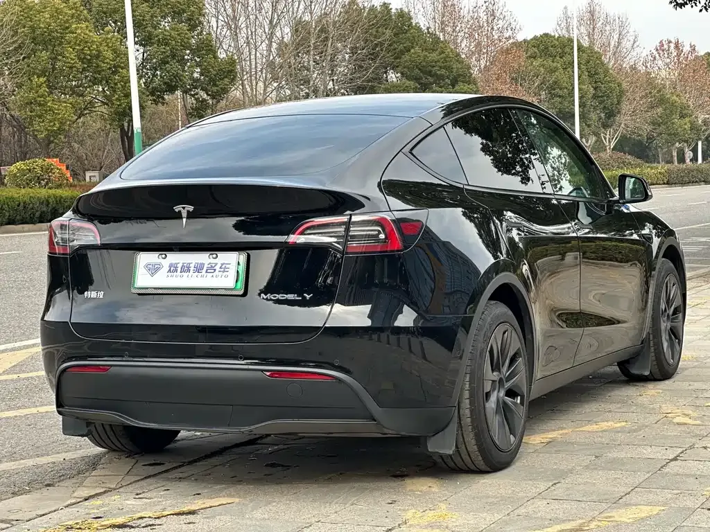 Tesla Model Y 2024 из CN, фото 8