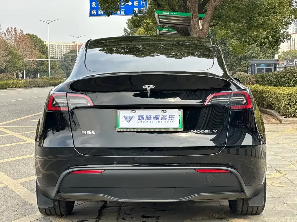 Tesla Model Y 2024 из CN, фото 2