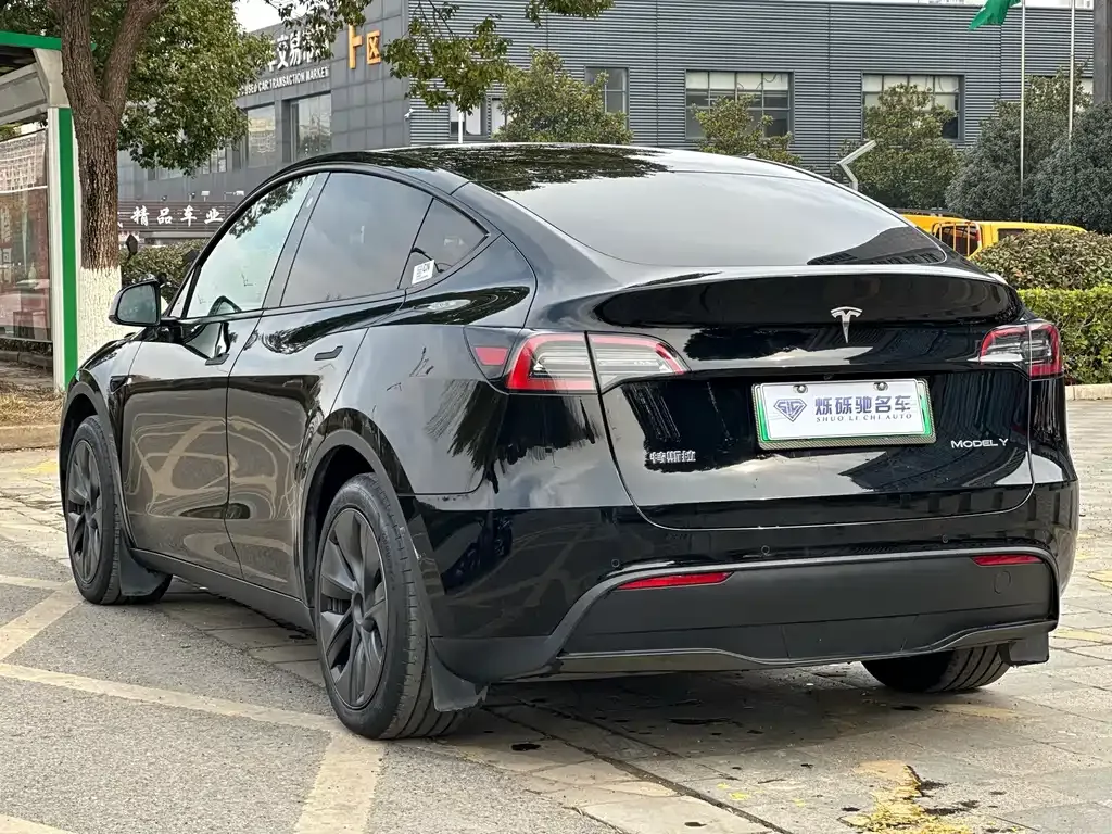 Tesla Model Y 2024 из CN, фото 3